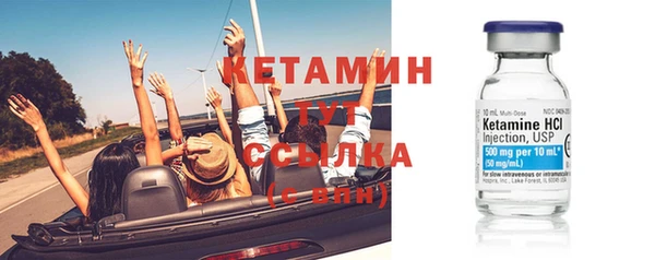 сатива Бородино