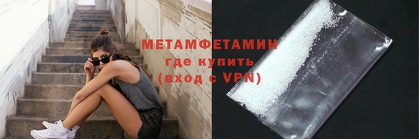 сатива Бородино
