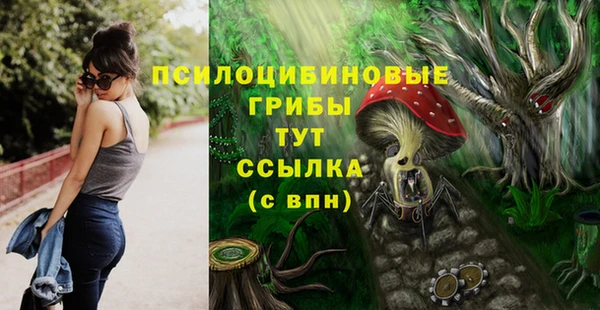 a pvp Бугульма