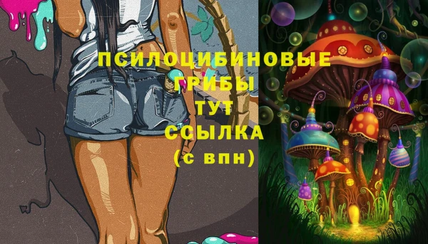 герыч Верхний Тагил