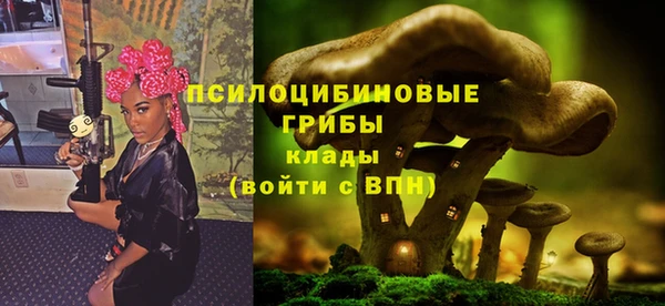 герыч Верхний Тагил