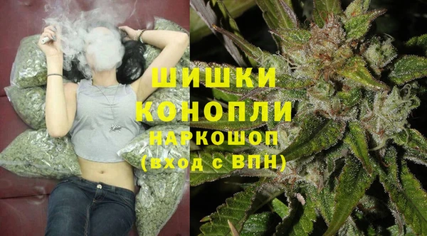 сатива Бородино