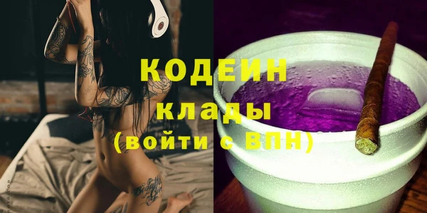 сатива Бородино