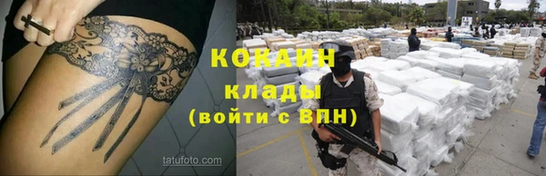 сатива Бородино