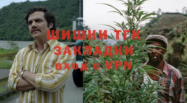 сатива Бородино